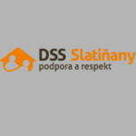 L_DSS